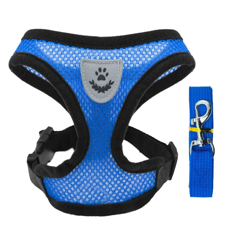 Breathable Mesh Pet Harness & Leash Set for Small Dogs and Cats