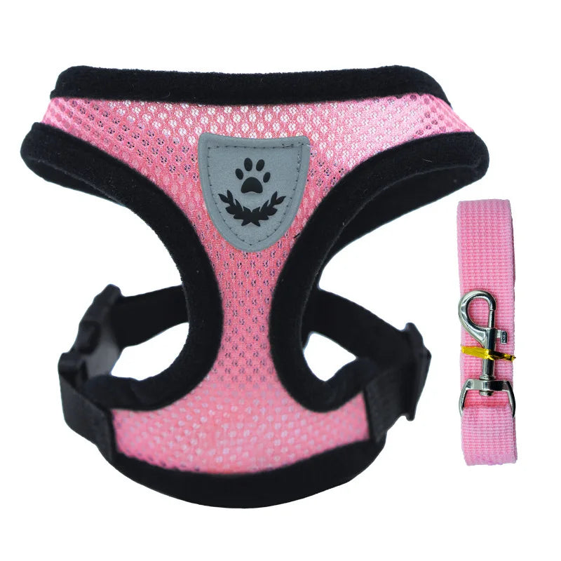 Breathable Mesh Pet Harness & Leash Set for Small Dogs and Cats