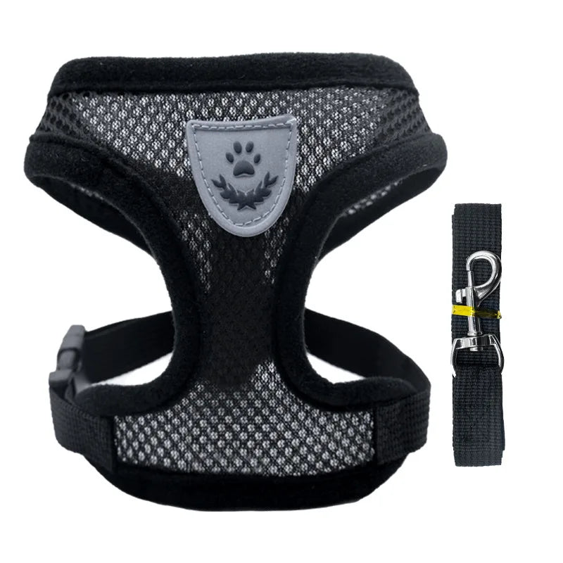 Breathable Mesh Pet Harness & Leash Set for Small Dogs and Cats