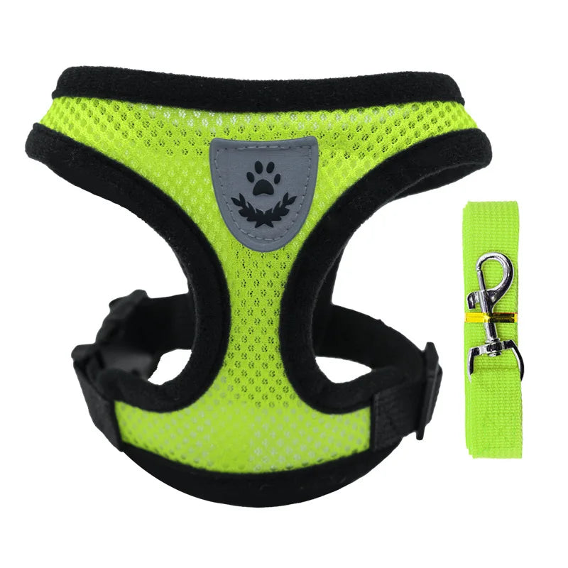 Breathable Mesh Pet Harness & Leash Set for Small Dogs and Cats