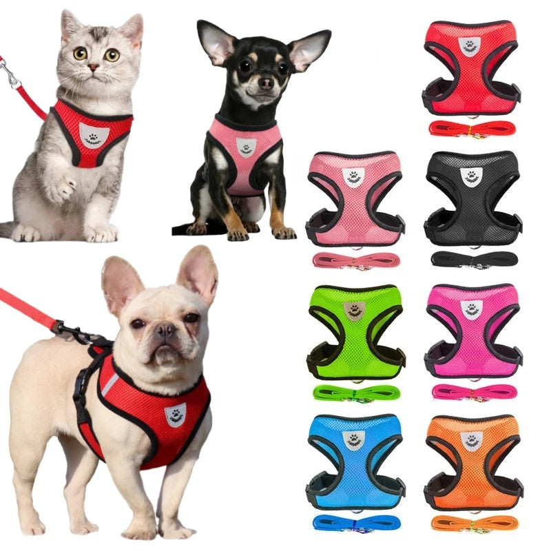 Breathable Mesh Pet Harness & Leash Set for Small Dogs and Cats