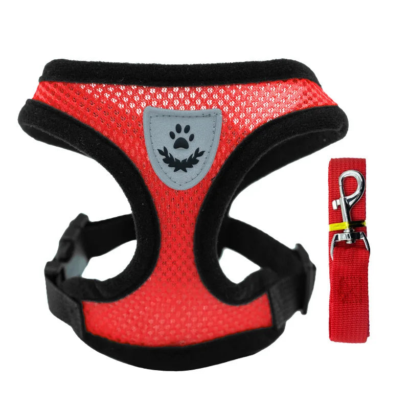 Breathable Mesh Pet Harness & Leash Set for Small Dogs and Cats
