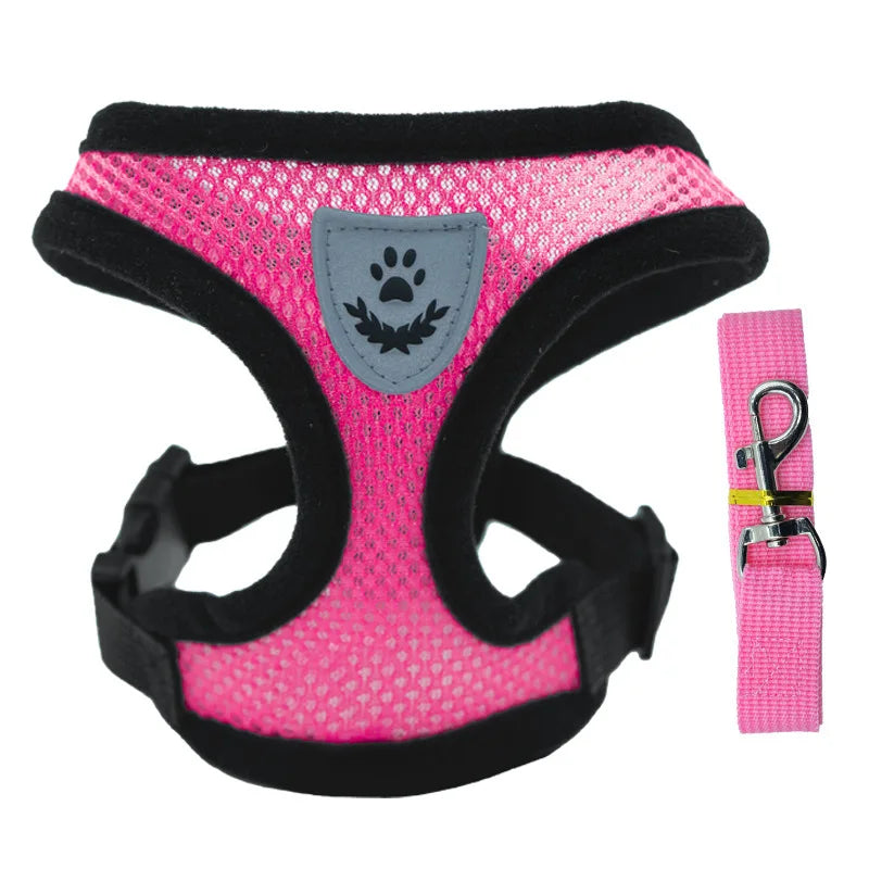 Breathable Mesh Pet Harness & Leash Set for Small Dogs and Cats